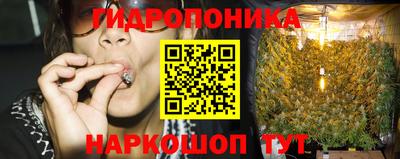 сатива Гусев