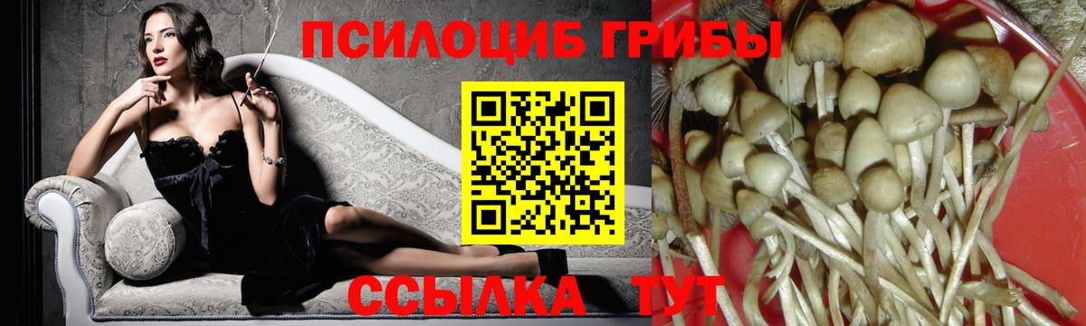 Мурино  Псилоцибиновые грибы MAGIC MUSHROOMS  Галлюциногенные грибы Psilocybe  Вход с VPN 